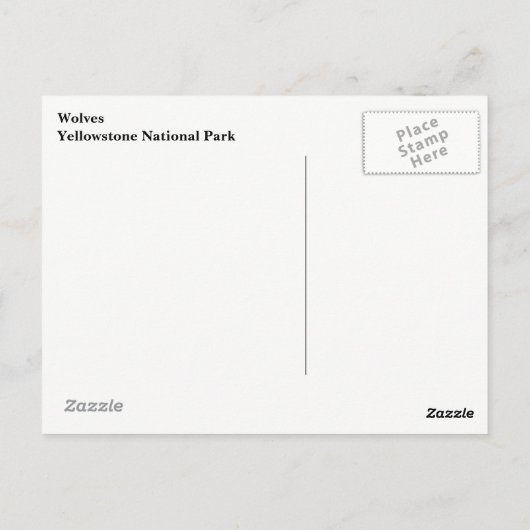 Carte postale Loups de Yellowstone (Dos)