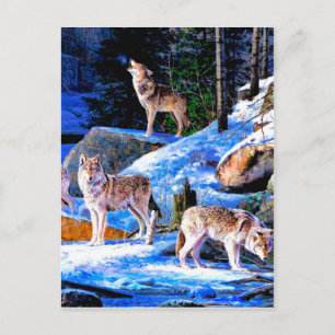 Carte Postale Loups en peinture à la neige