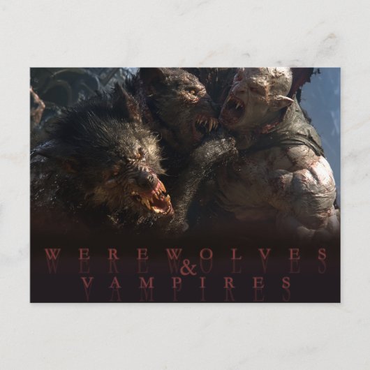 Carte Postale Loups-garous & Vampires - La Bataille (Devant)