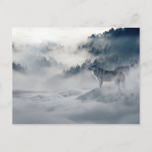 Carte Postale Loups majestueux dans la fosse forestière