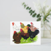 Carte Postale Lourd ajout de coq (Debout devant)