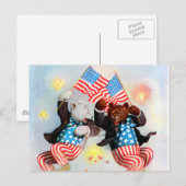 Carte Postale L'ours patriote célèbre le 4 juillet (Devant / Derrière)