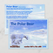 Carte Postale L'ours polaire est un animal en voie de disparitio (Devant / Derrière)