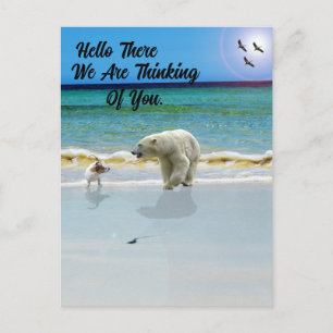 Carte Postale L'Ours Polaire Rencontre Jack Russell, Bonjour Car