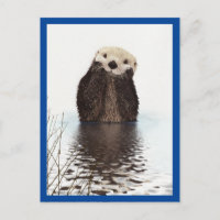 Loutre Mignonne Animal Bleu