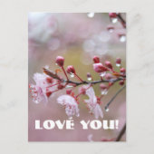 Carte postale Love (Devant)