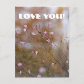 Carte postale Love (Devant)