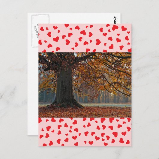 Carte postale Love (Devant / Derrière)