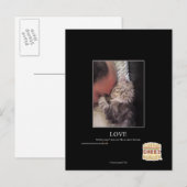 Carte Postale Love (Devant / Derrière)