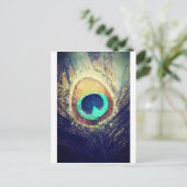 Carte Postale Love2Snap Peacock Feather (Debout devant)