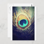 Carte Postale Love2Snap Peacock Feather (Devant / Derrière)