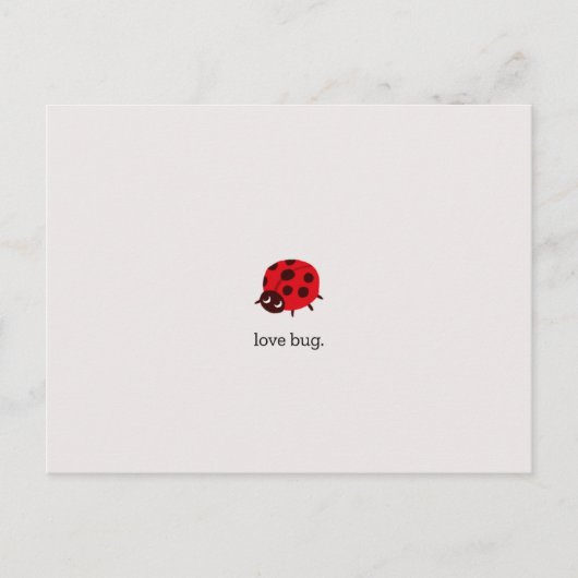 Carte postale Love Bug (Devant)
