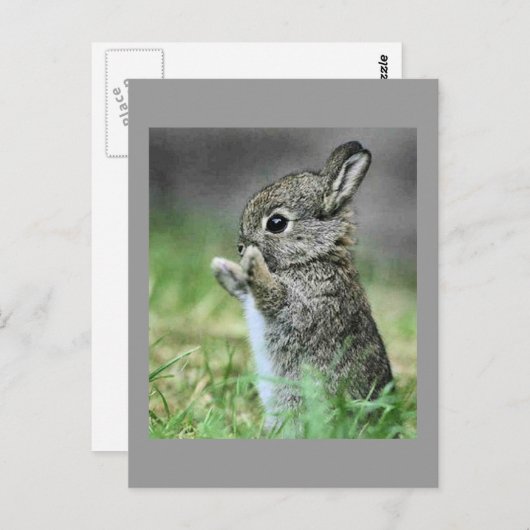 Carte Postale Love Bunny Hug (Devant / Derrière)