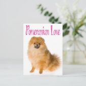 Carte postale Love Chien De Chien De Poméranie (Debout devant)
