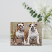 Carte Postale Love English Bulldog Chien Chien Chien Chien Pot C (Debout devant)