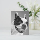 Carte Postale Love French Bulldog Chien Chien Chien Chien Pot Ca (Debout devant)