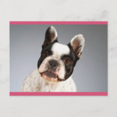 Carte Postale Love French Bulldog Chien Chien Chien Chien Pot Ca (Devant)