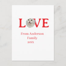 Love holidays cat photo pet family name bold lette