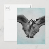 Carte Postale Love Horses (Devant / Derrière)