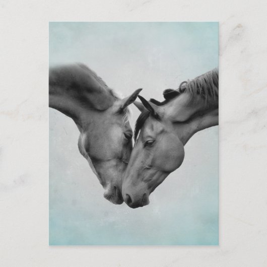 Carte Postale Love Horses (Devant)