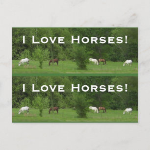 Carte Postale Love Horses ! Bookmarkers - Personnaliser !