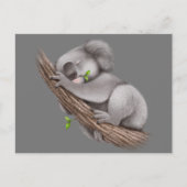Carte postale Love Koala Bears (Devant)