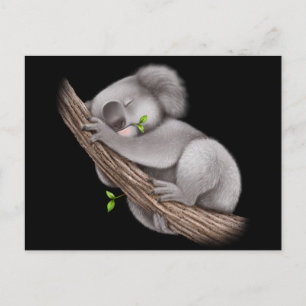 Carte Postale Love Koala Bears