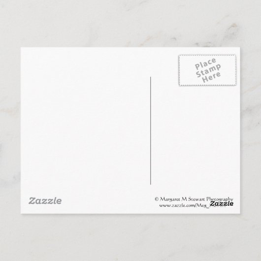 Carte postale Love Never Fails (Dos)