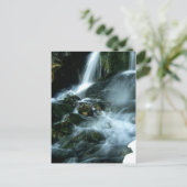 CARTE POSTALE LOVE SONG (Debout devant)