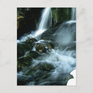 CARTE POSTALE LOVE SONG