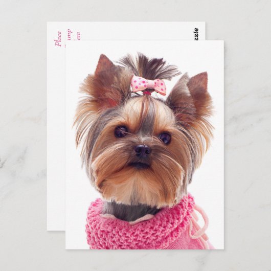 Carte Postale Love Yorkshire Terrier Chien Chien Chien Chien Bla (Devant / Derrière)