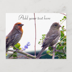 Carte postale Love You_