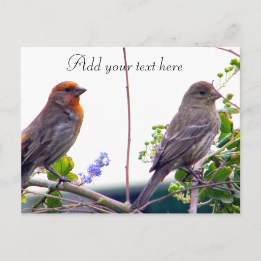 Carte postale Love You_ (Devant)