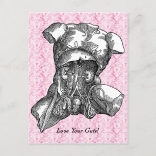 Carte Postale Love Your Guts Postcard