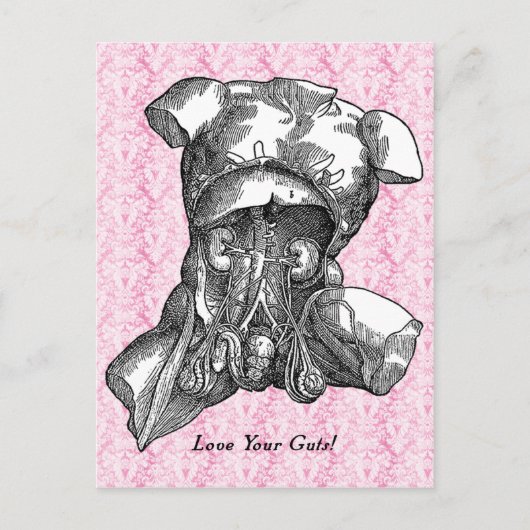 Carte Postale Love Your Guts Postcard (Devant)
