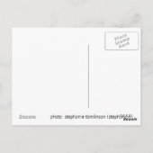 Carte postale Lovebird troisième roue (Dos)