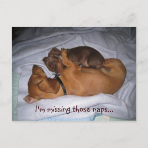 Carte Postale loveis, je me suis trompé sur les naps...