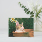 Carte Postale Lovely Kitten 54 (Debout devant)