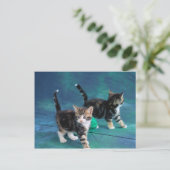 Carte Postale Lovely Kitten 61 (Debout devant)