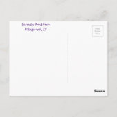 Carte Postale Lovely Lavender (Dos)