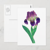 Carte Postale Lovely Purple Dutch Iris (Devant / Derrière)
