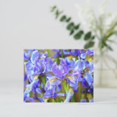 Carte Postale Lovely Purple Irises en mai (Debout devant)