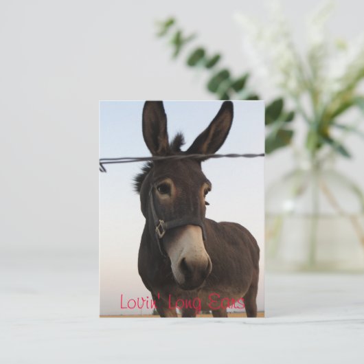 Carte Postale Lovin's Long Ears (Debout devant)