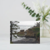 Carte postale "Low Tide at Depoe Bay, Oregon" (Debout devant)