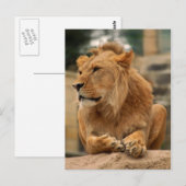 Carte Postale Löwe mit Punkerfrisur (Devant / Derrière)