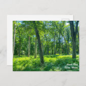 Carte postale Lowell Park Dixon Illinois (Devant / Derrière)