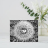 Carte Postale Löwenzahn (Debout devant)