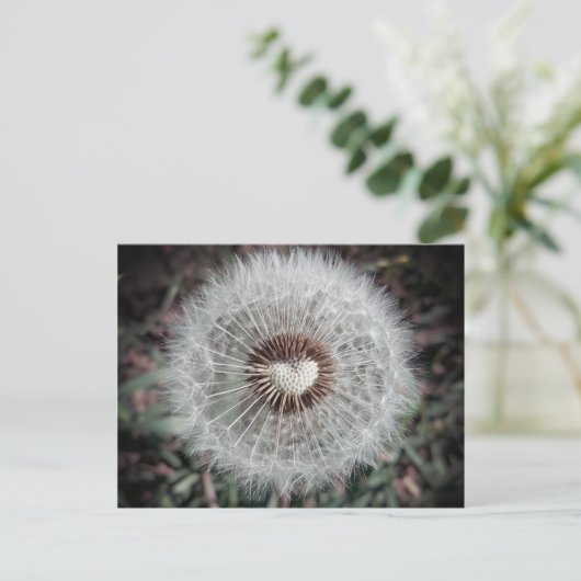 Carte Postale Löwenzahn (Debout devant)