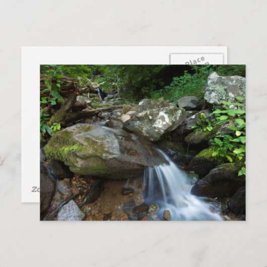 Carte Postale Lower Dark Hollow Falls (Devant / Derrière)