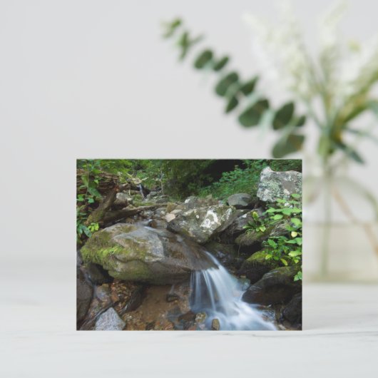 Carte Postale Lower Dark Hollow Falls (Debout devant)